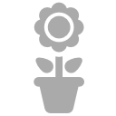 decoration